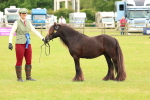SBM_06311