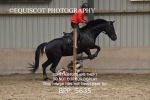 BPP_5635