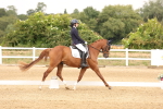 SBM_001419