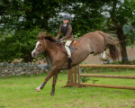 Dunblane show-598