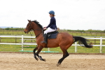 SBM_003936