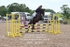 BPP_8037