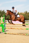 SBM_003835