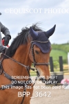CLASS 19 SUN Senior 1.15m Open portfolio