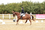 SBM_001303
