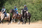 WJ6_9022