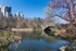 Spring Time Central Park