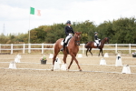 SBM_005588