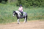 WJ7_8001