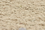 230701A-102636-04542