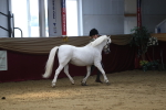 SBM_04932