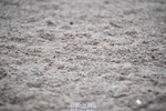 260829B-093421-00051