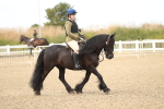SBM_05590
