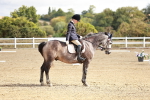 SBM_009890