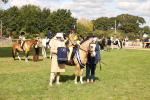 Fun Showing Supreme Championship portfolio