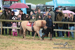 SHETPR 210425 53