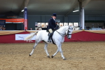 SBM_20130