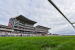 210825-Race 4-Minnie Hauk-9095