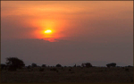 Sun-set