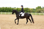 SBM_006942