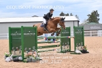BPP_2537