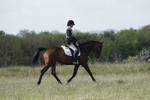 BVHT 140517 -52