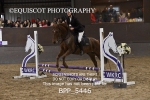 BPP_5446