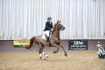 SBM_003438