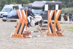 BPP_6338