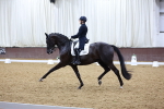SBM_009731