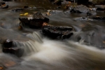 River and Leaf