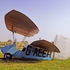 Flying Flea