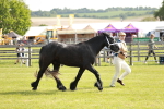 SBM_00735