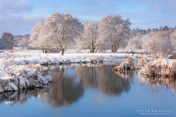 Winter Wey