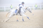 SBM_001033