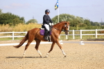 SBM_008596