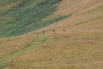 Sedbergh-4