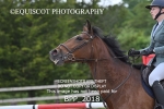 BPP_2018