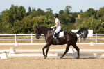 SBM_003894