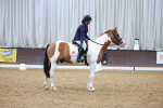 SBM_001595
