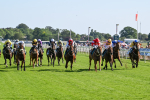 110725-Race 6-Brazen Bolt-4648