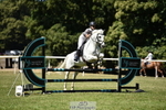 260703A-111516-07405