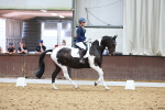 SBM_011233