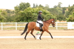 SBM_000687