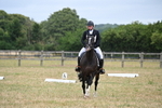 Dressage - Two Grass Arenas - one camera. portfolio
