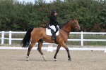 SBM_001379