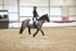 BPP_8357