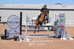 BPP_1233