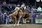 Tucker Curracato_DSC2336