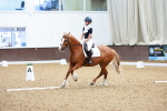 SBM_008068
